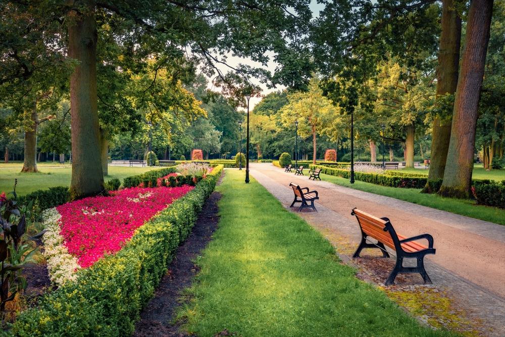 Lázeňský park Zdrojowy je krásně udržovaný. Kromě klidu je zde k nalezení i pestrá vegetace.